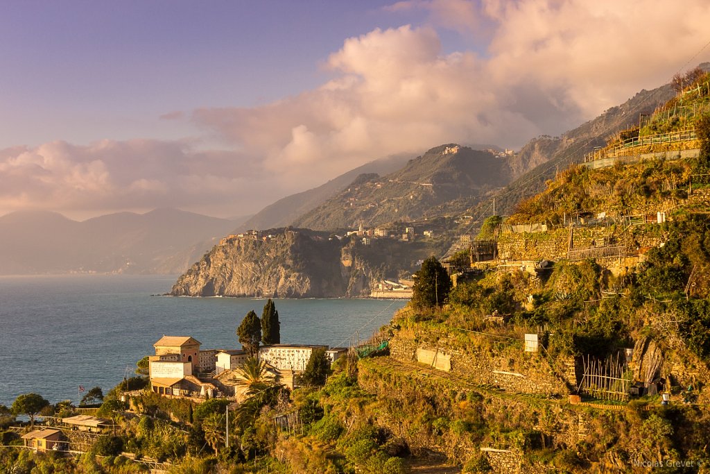 Cinque Terre terraces