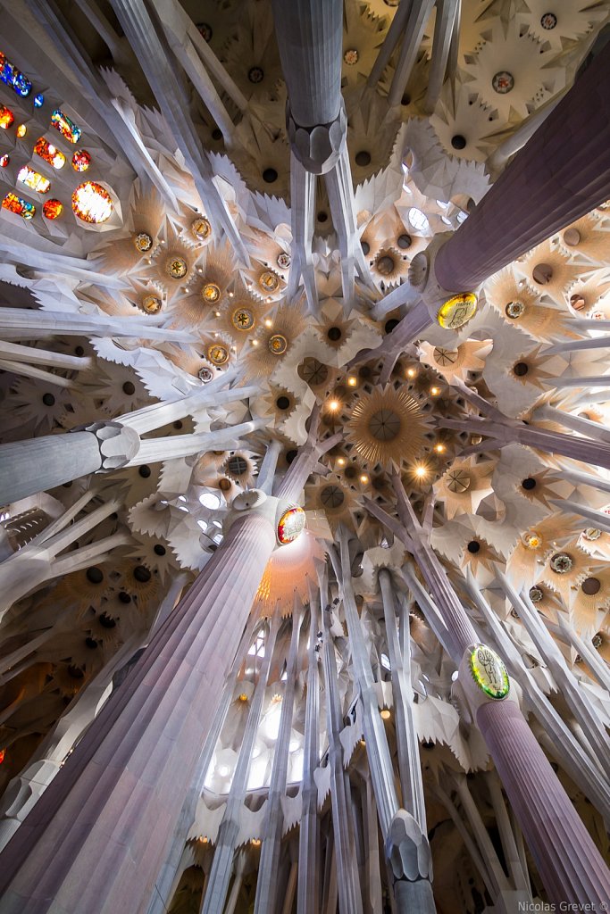 Sagrada Família Ceiling