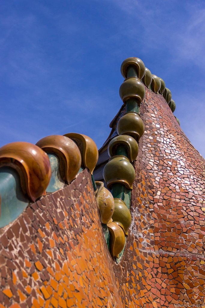 Casa Battló Scaly Roof