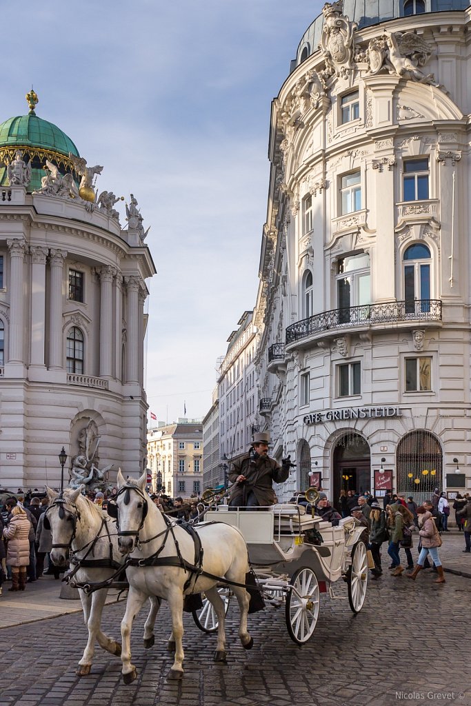 Michaelerplatz Carriage