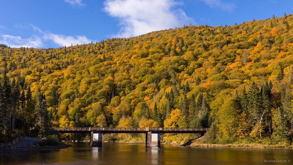 Autumn Bridge