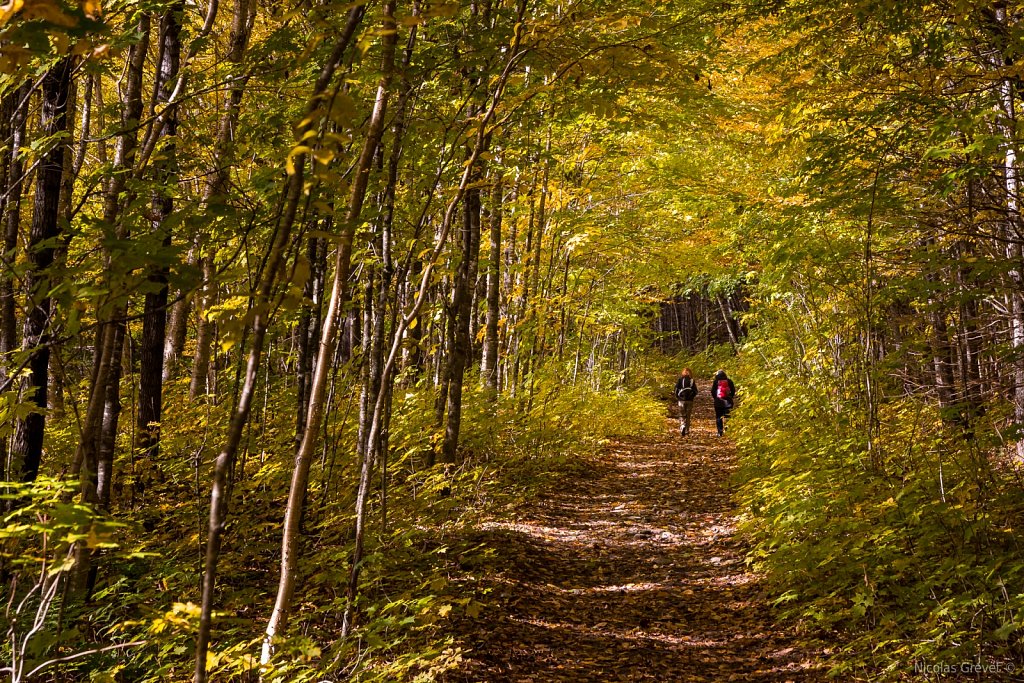 Scotora Trail