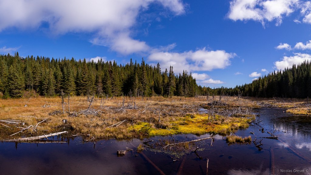 Beaver Lake