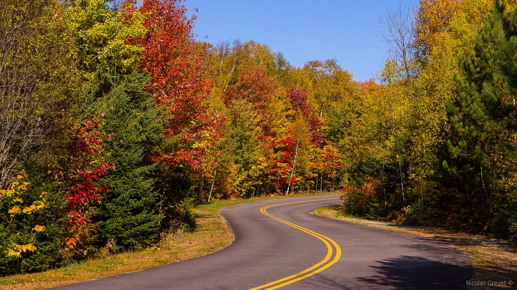 Driving Through Fall 2