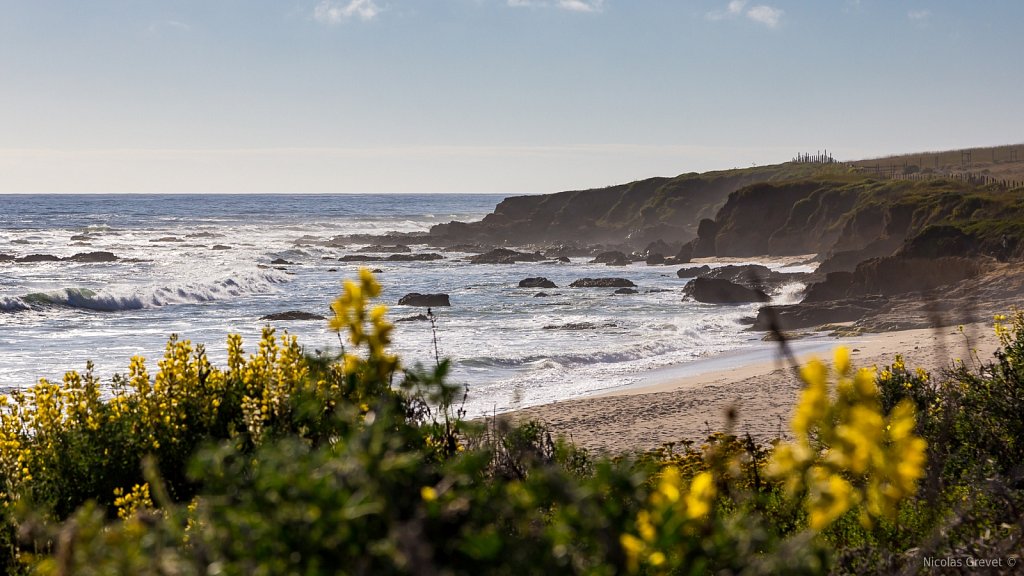 Pigeon Point Beach