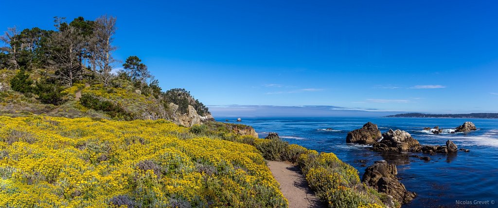 Carmel Bay