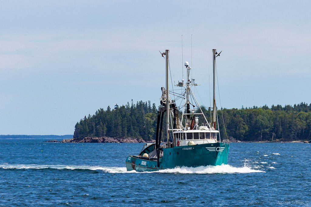 Owls Head Point