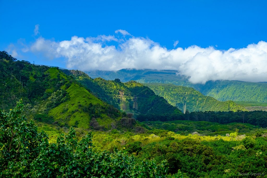 Wailua Valley