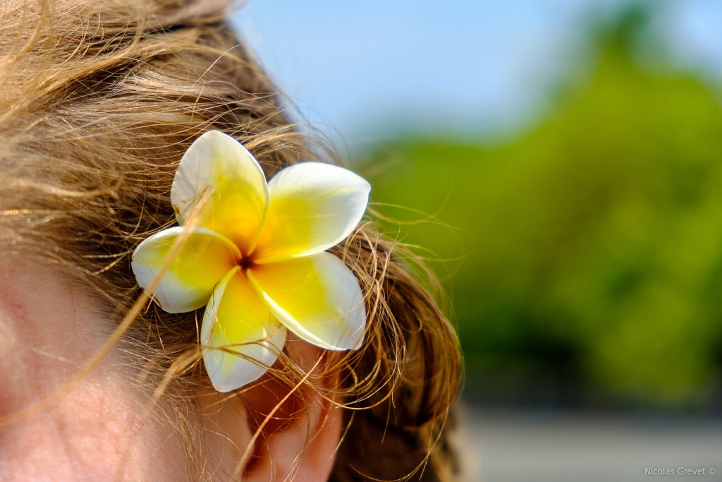 Hula Girl