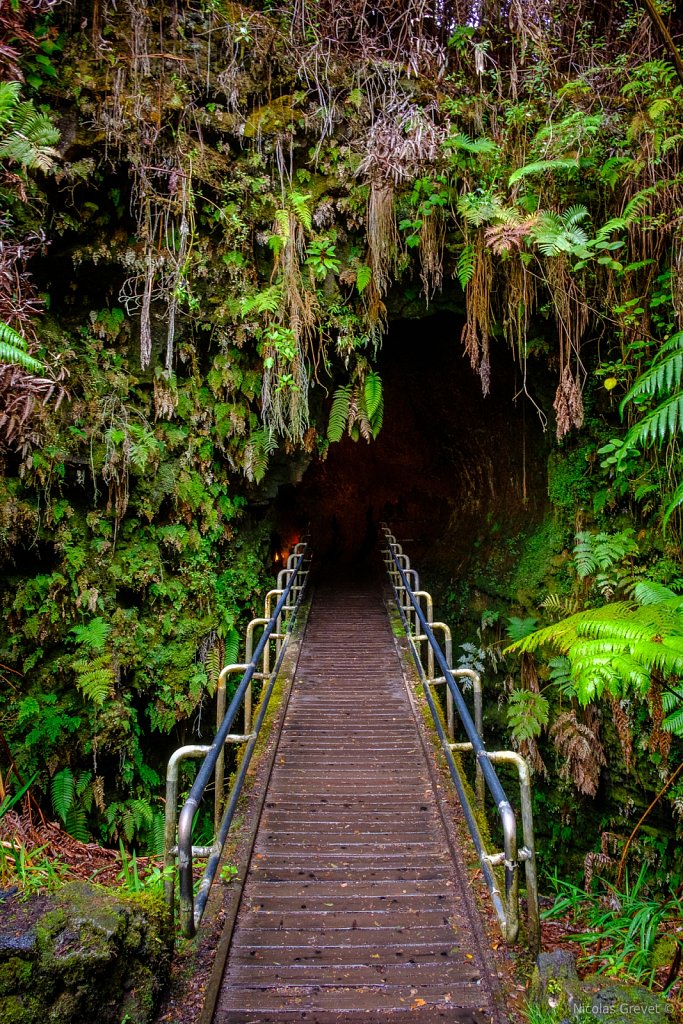 Thurston Lava Tube