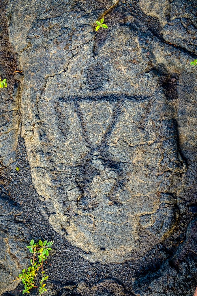 Petroglyph