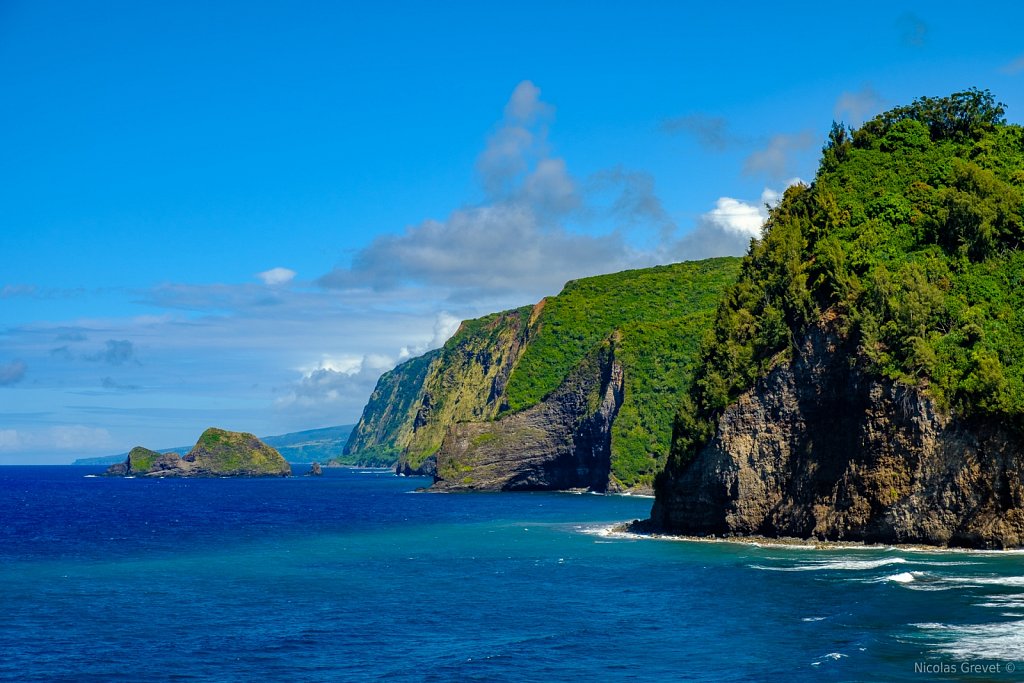 Kohala Coast