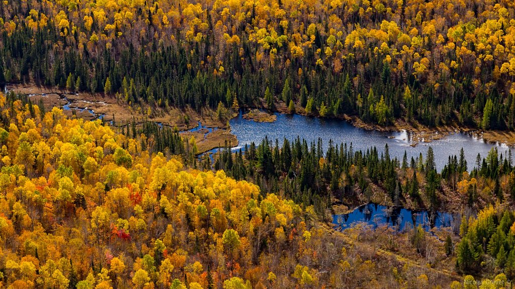 Autumn Lake